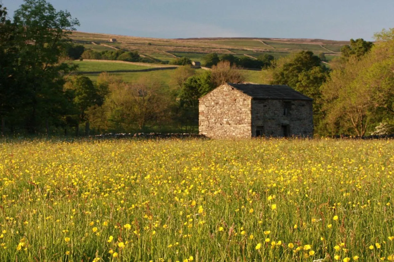 Fernlea, Lovely Stone Cottage In The Yorkshire Dales Bainbridge 英国